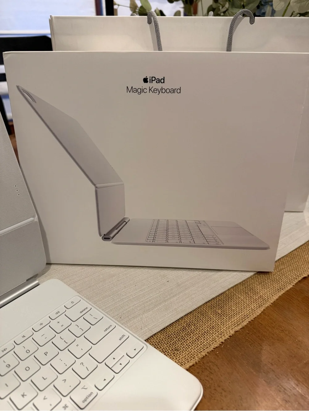 Apple ipad magic